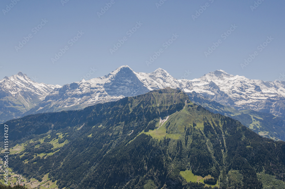 Naklejka premium Grindelwald, Dorf, Berner Oberland, Schreckhorn, Eiger, Mönch, Jungfrau, Schynige Platte, Wanderferien, Wanderweg, Alpen, Schweizer Berge, Sommer, Schweiz