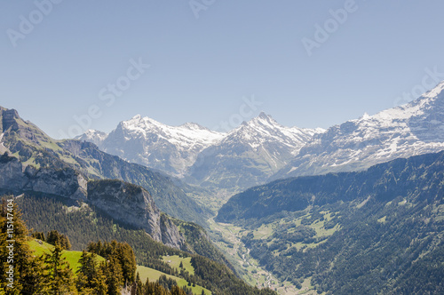 Grindelwald, Alpen, Berner Oberland, Schynige Platte, Schreckhorn, Wetterhorn, Engelhörner, Bergtal, Wanderweg, Schweizer Berge, Sommer, Schweiz