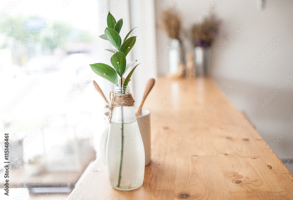 Vase plant decoration in home at window side Vase plant decoration in home at window side