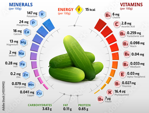 Vitamins and minerals of cucumber fruit. Infographics about nutrients in cuke with peel. Qualitative vector image for cucumber, agriculture, veggies, cooking, farming, gastronomy, olericulture, etc