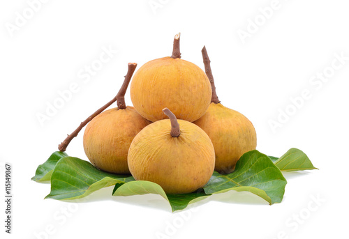 Santol fruit isolated on white background photo