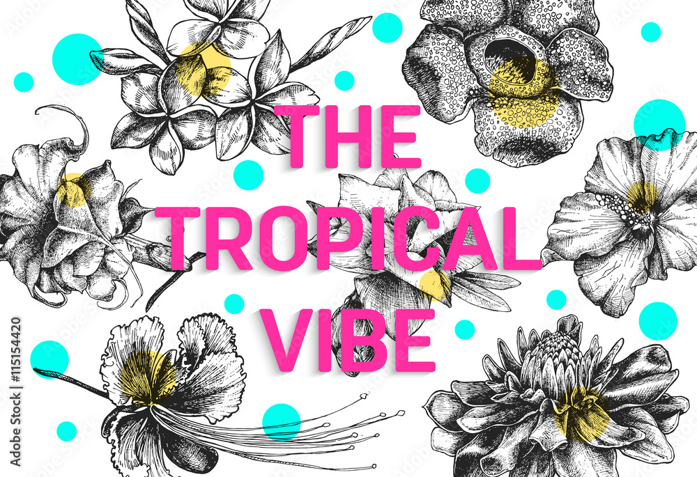 Φωτογραφία Tropical flowers background with etlingera, rafflesia, plumeria, brazilwood beautiful, brugmansia
