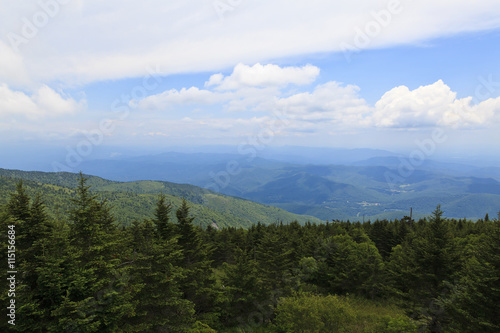Εκτύπωση καμβά Mount Mitchell in North Carolina Mountains
