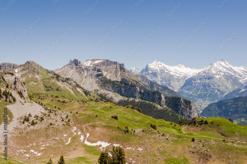 Interlaken, Alpen, Schweizer Berge, Schynige Platte, Wanderweg, Faulhorn, Wanderferien, Berner Oberland, Sommer, Schweiz