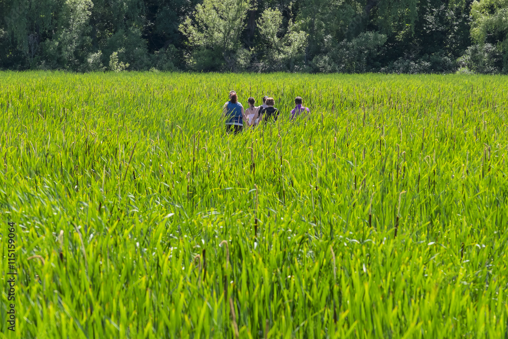 People Walking in a Marsh People Walking in a Marsh