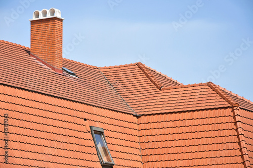 Roof tiles and smoke stack of a building