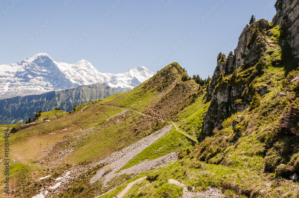 Interlaken, Berner Oberland, Eiger, Mönch, Jungfrau, Alpen, Schynige Platte, Wanderweg, Sommer, Schweiz