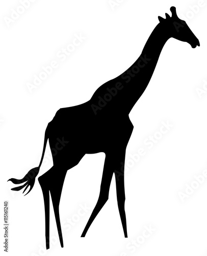 giraffa