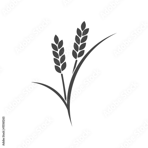 Wheat ears or rice icon