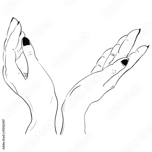 Beautiful female two pair open hands. vector