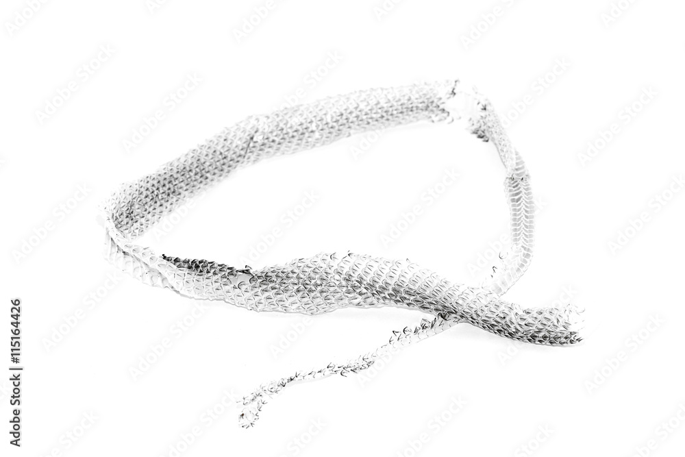 Fototapeta premium Snake shedding skin isolated on white background - Rattlesnake Skin with copy space. 
