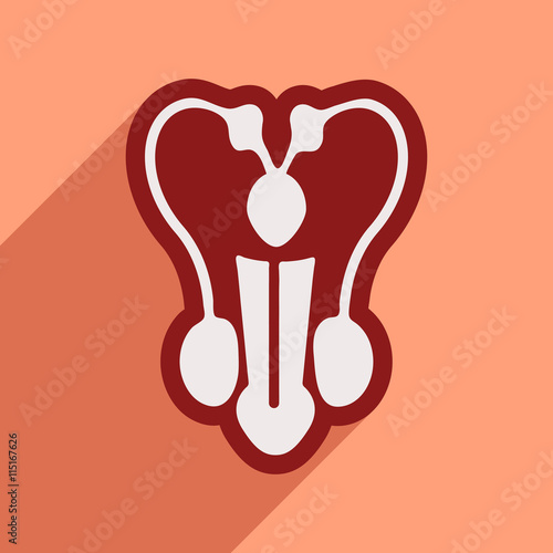 Icon of man's penis in flat style