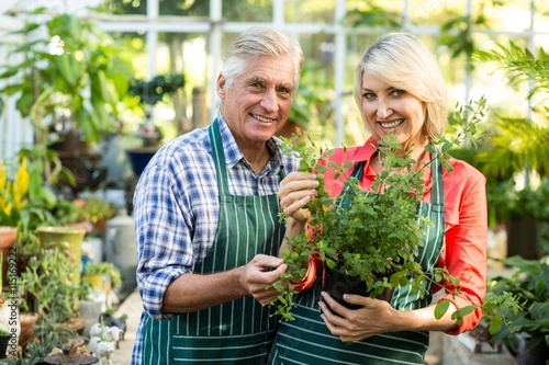 Happy couple holding potted plant in greenhouse