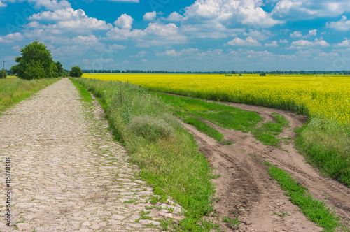 Summer landscape with stone road in leading to small village Kozlivshyna  Poltavskaya oblast  Ukraine