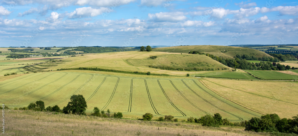 View of Middle Hill and Scratchbury Hill. Panorama from Battlesbury Hill, with medieval strip lynchets on the edge of Salisbury Plain, in Wiltshire, UK