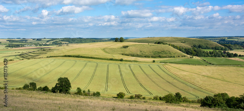 View of Middle Hill and Scratchbury Hill. Panorama from Battlesbury Hill, with medieval strip lynchets on the edge of Salisbury Plain, in Wiltshire, UK