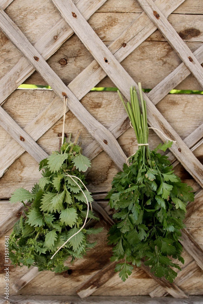 aromatic herbs aromatic herbs