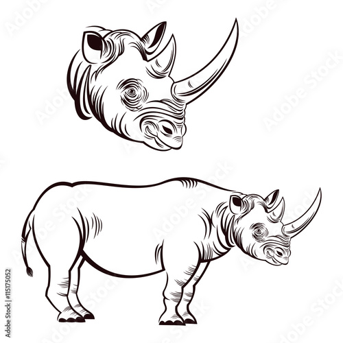 Rhinoceros © sandal1986