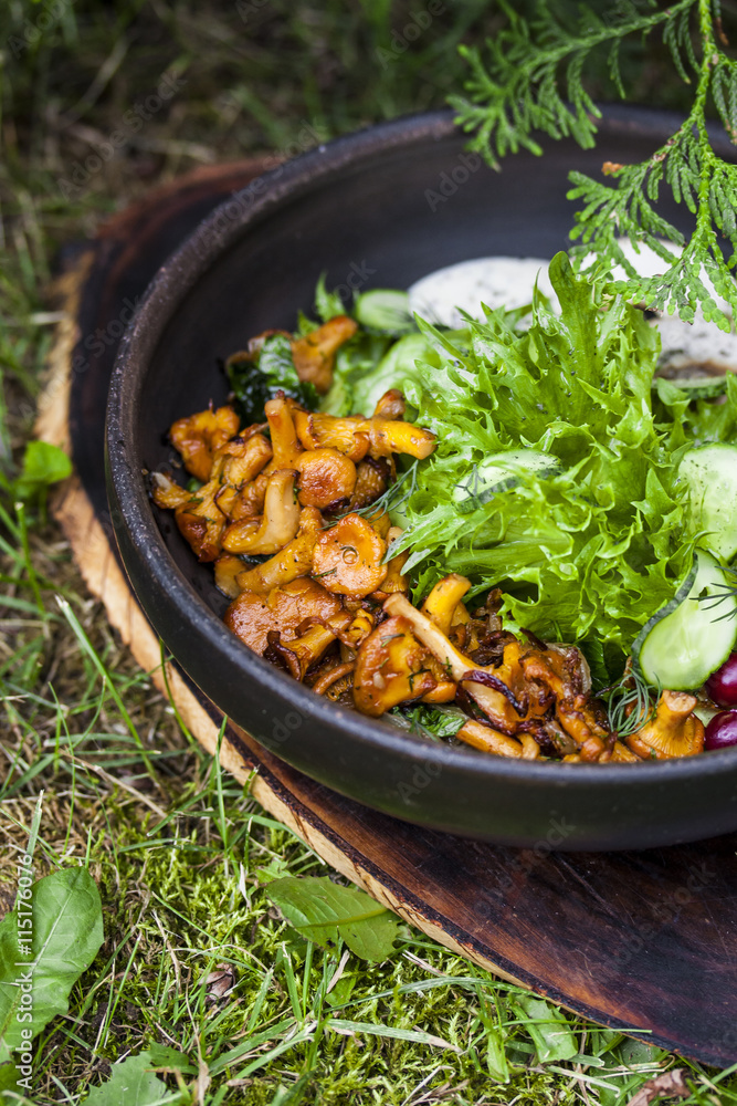 dish with fried chanterelles, cucumbers and chicken dish with fried chanterelles, cucumbers and chicken