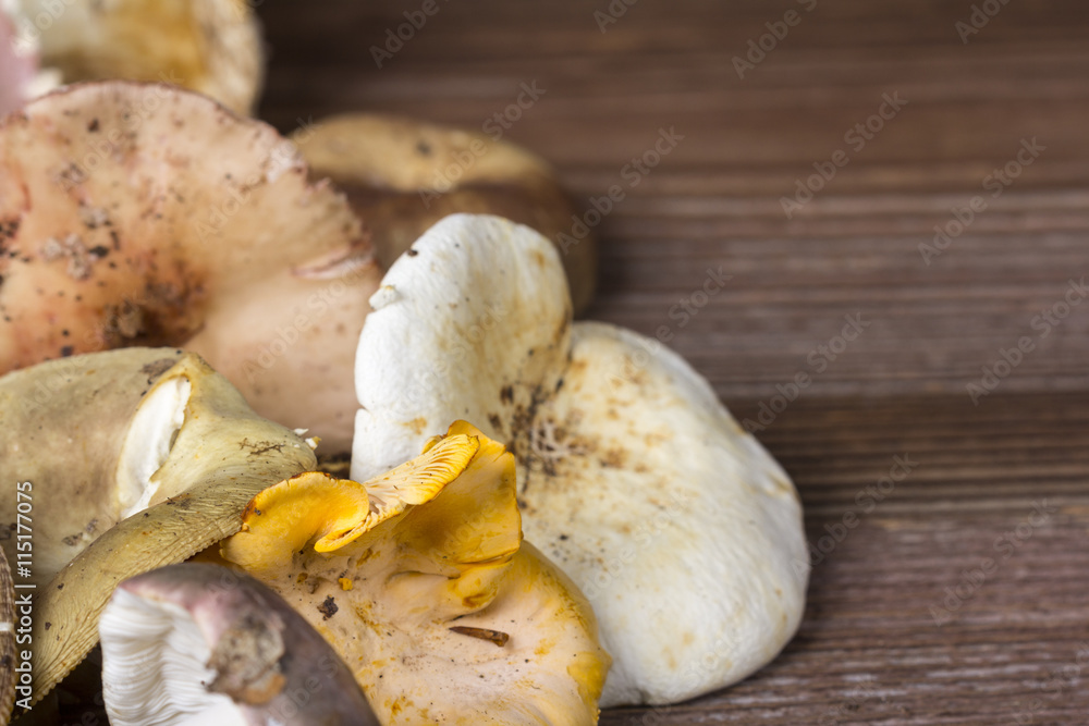Freshly gathered mushrooms on wooden background Freshly gathered mushrooms on wooden background