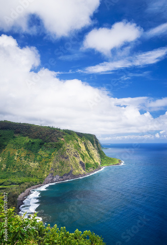 Fototapeta Naklejka Na Ścianę i Meble -  View from Waipio Valley Lookout on Big Island Hawaii