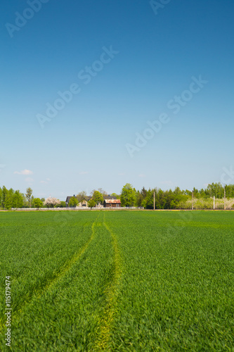 Scenery in the area around Bramki  a village in the administrative district of Gmina B  onie  within Warsaw West County  in east-central Poland  