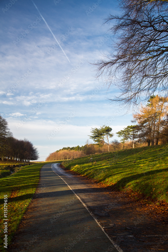 Fototapeta premium A pathway in the War Memorial Gardens in Dublin, Ireland 