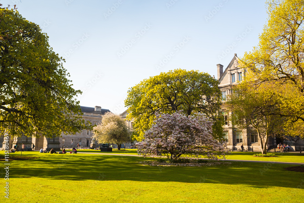The grounds in Trinity College, Dublin, Ireland
