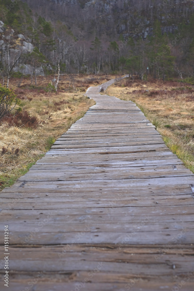 Fototapeta premium Wooden bridge over the swamp