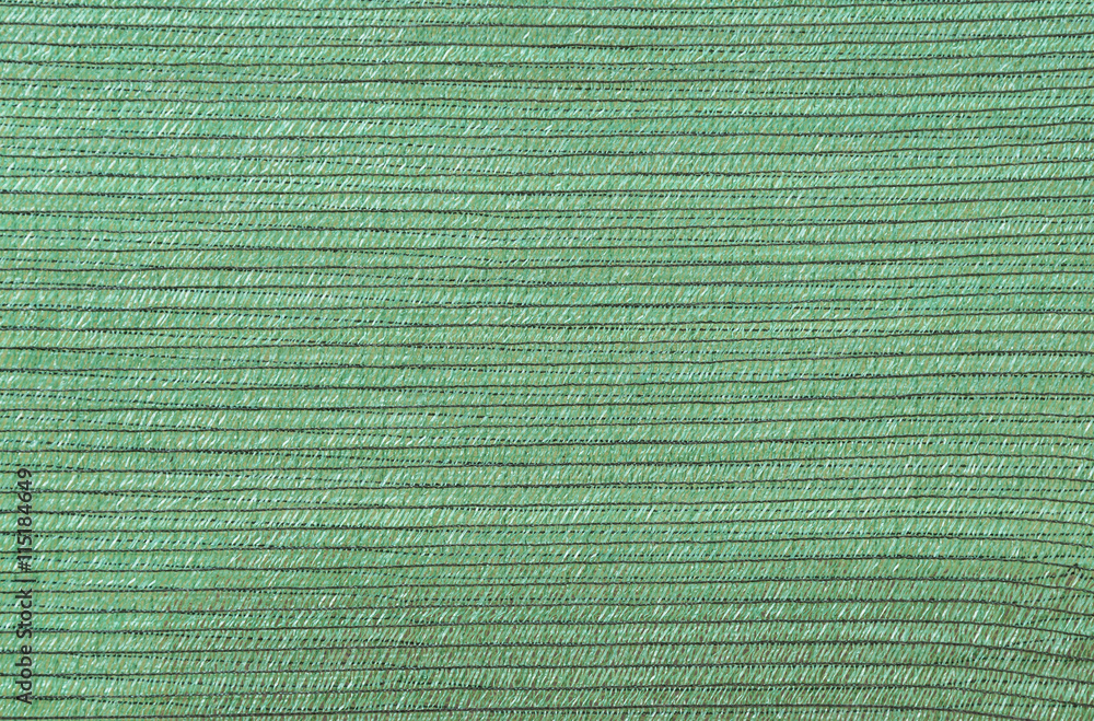 Fototapeta premium Green net
