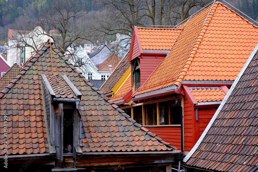 Tile roofs of old houses
