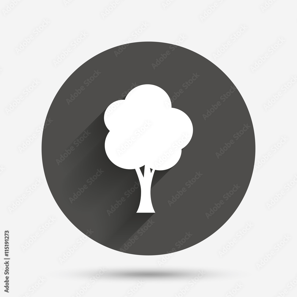 Tree sign icon. Forest symbol. Tree sign icon. Forest symbol.