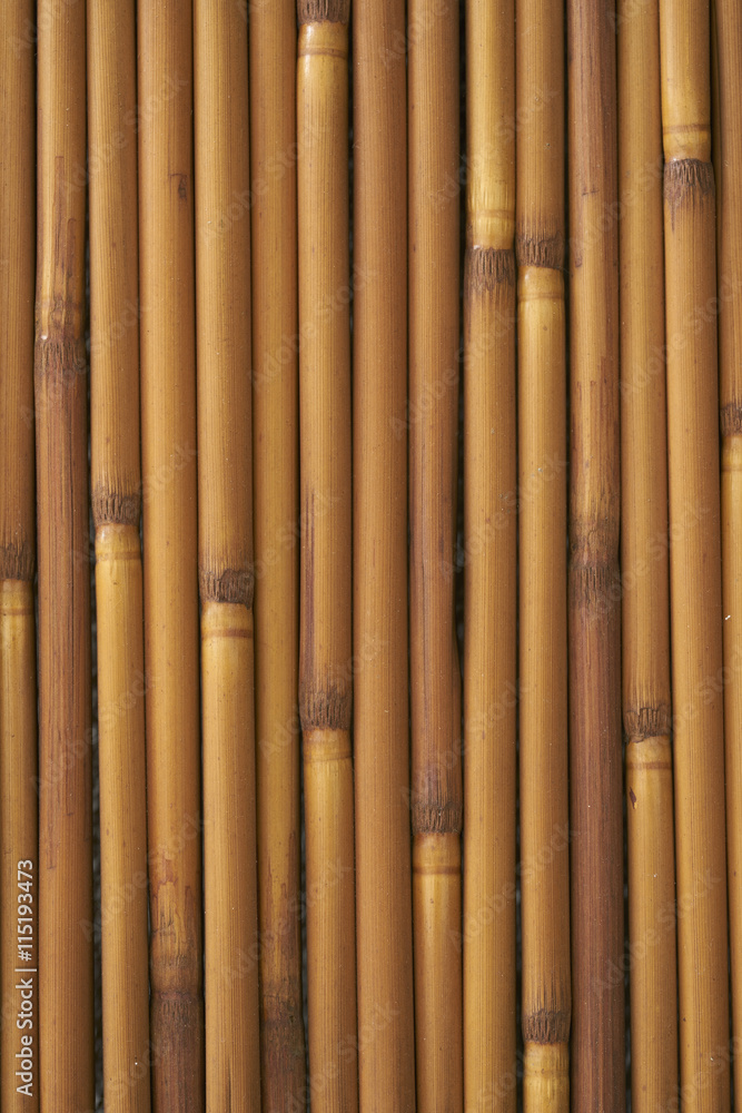 Fototapeta premium Small bamboo wood texture