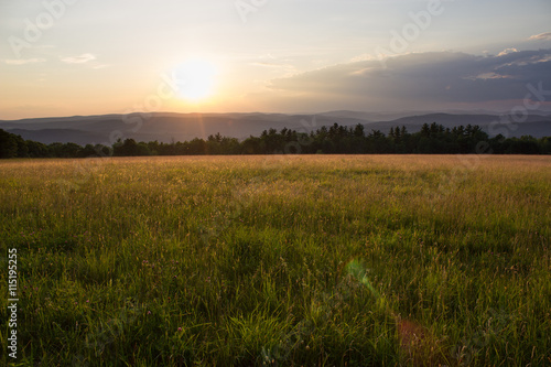 Sunset in Grassy Meadow