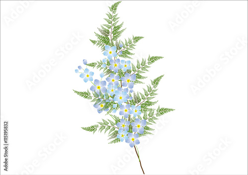 bouquet  flower with fern and forgetmenot  blue flowers.