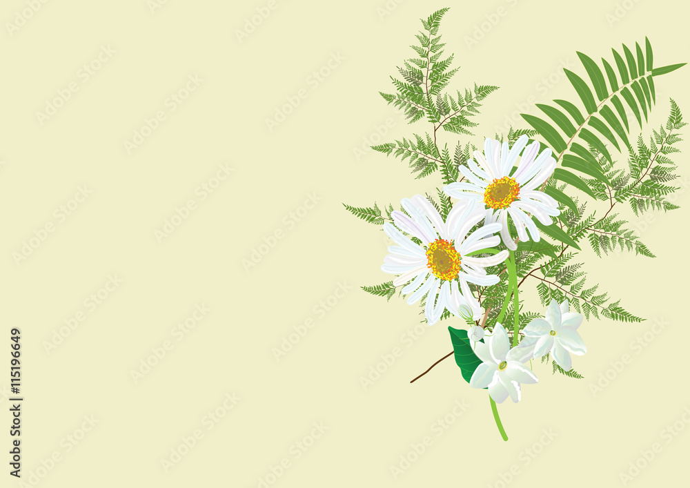 Naklejka premium jasmine bouquet with fern andi white daisy flower