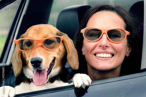 Woman with beagle dog in car. © bit24
