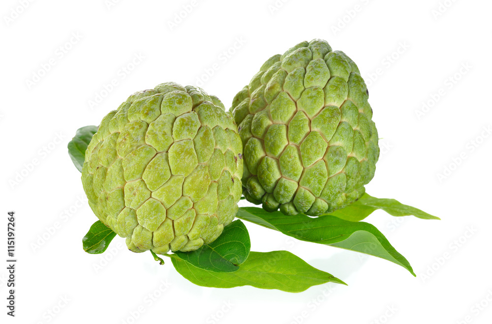 raw custard apple with leaves on white background raw custard apple with leaves on white background