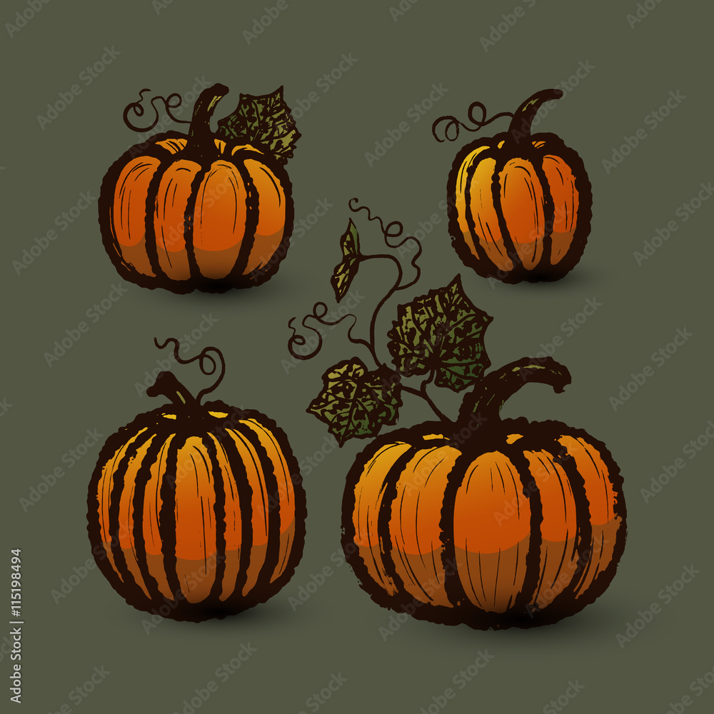 Pumpkins collection/Ink hand drawn pumpkins set/Vector pumpkins