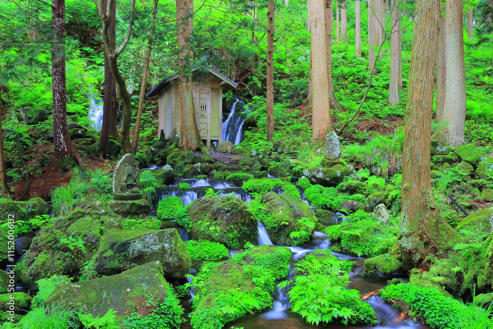山形県遊佐町 胴腹滝 山形県遊佐町 胴腹滝