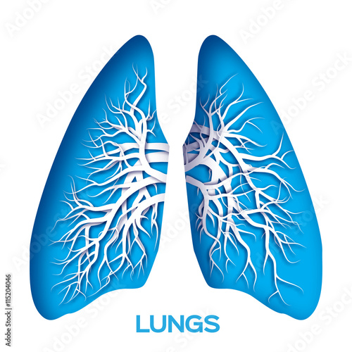 Lungs origami. Blue Paper cut  Human Lungs anatomy with bronchial tree. Applique Vector design illustration.
