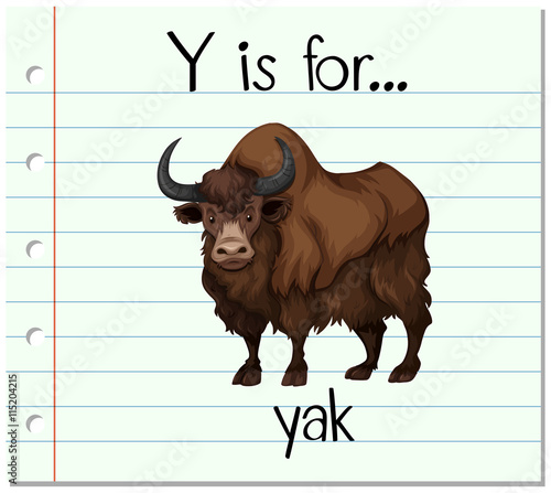 Flashcard letter Y is for yak