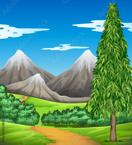 Scene with mountain and field