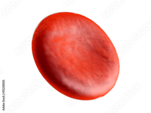 Erythrocyte Cell photo