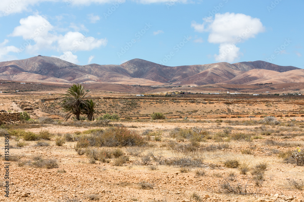 Landscape of fields and mountains near Antigua village, Fuerteventura, Canary Islands, Spain