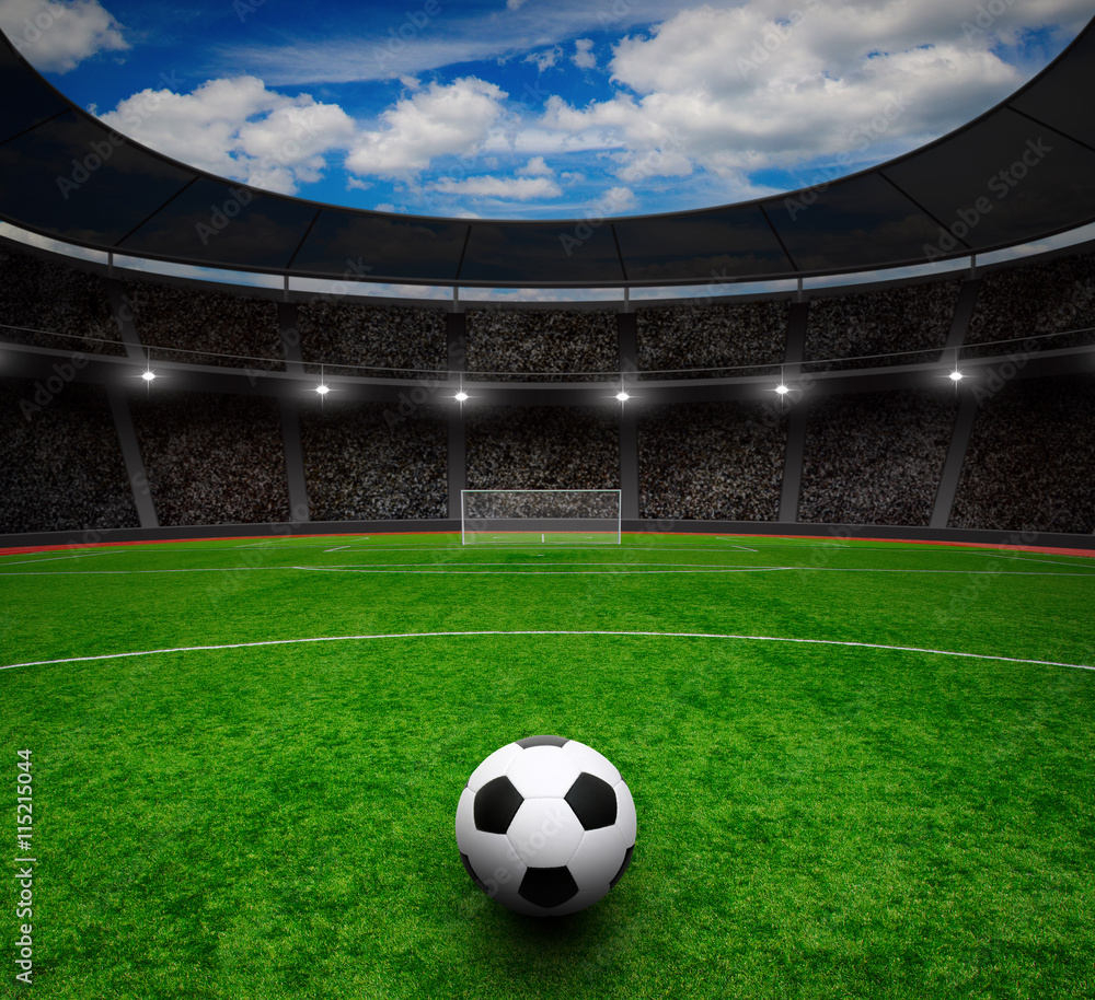 Fototapeta premium Piłka na zielonym stadionie