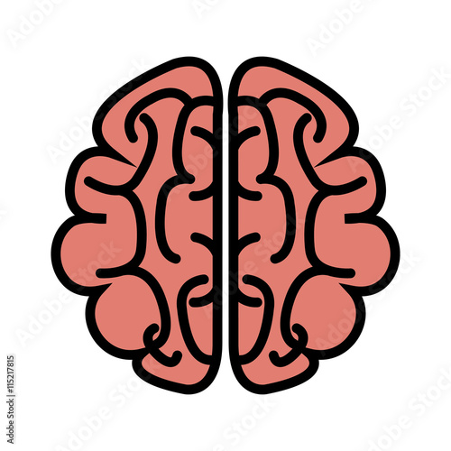 Human brain isolated flat icon, vector illustration graphic design.