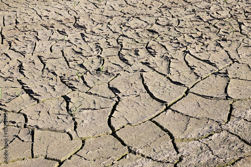cracked earth in the field