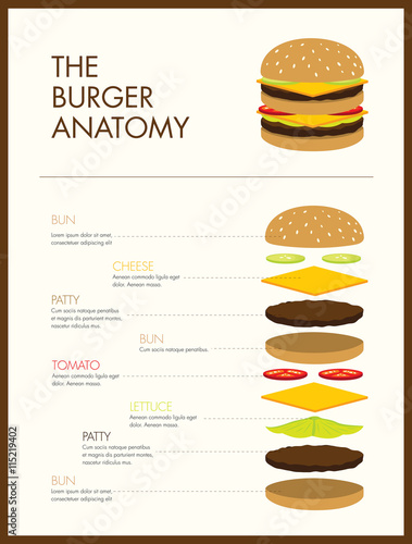 burger anatomy