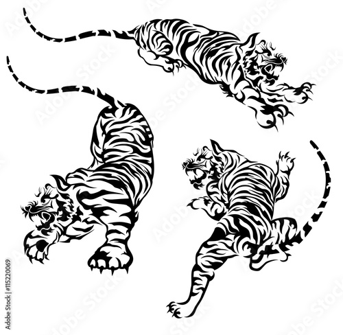 tiger
